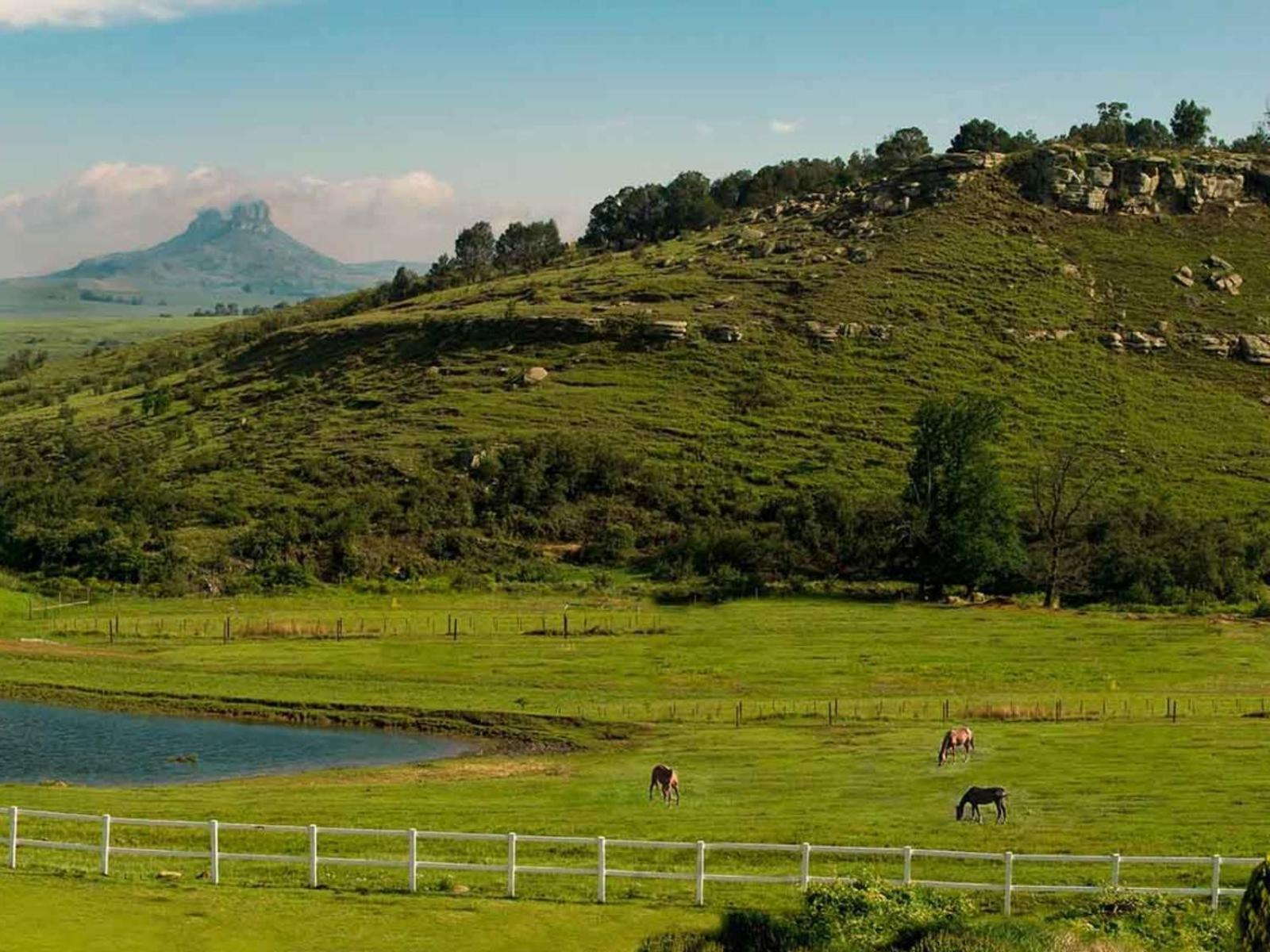 Oaklands Farm Stay Van Reenen Exterior foto